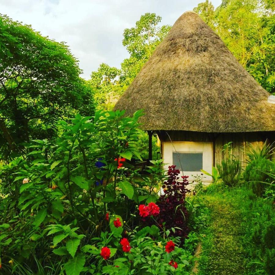 Dave The Cave Eco Lodge And Cultural Campsite Rubirizi エクステリア 写真