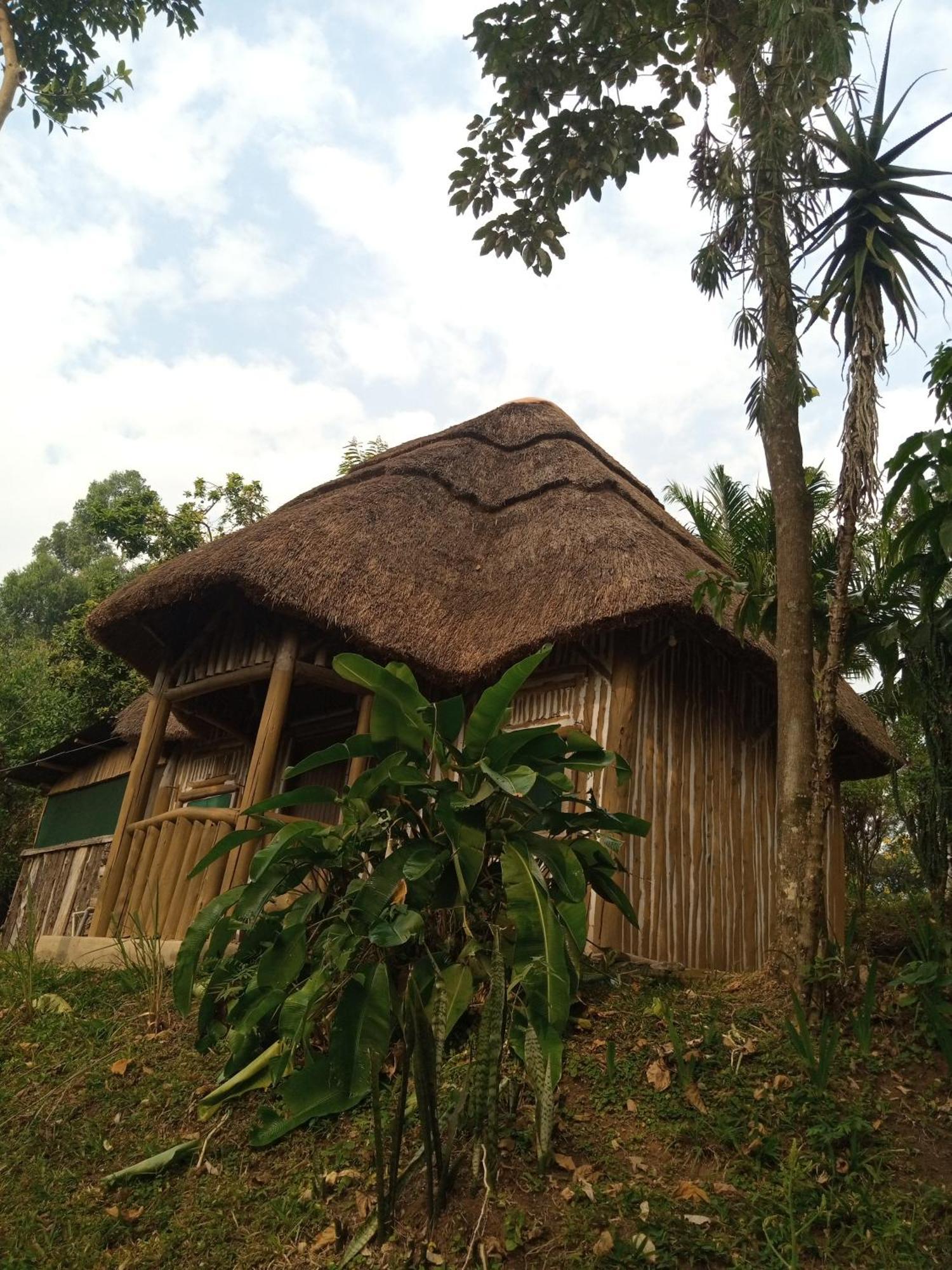 Dave The Cave Eco Lodge And Cultural Campsite Rubirizi エクステリア 写真