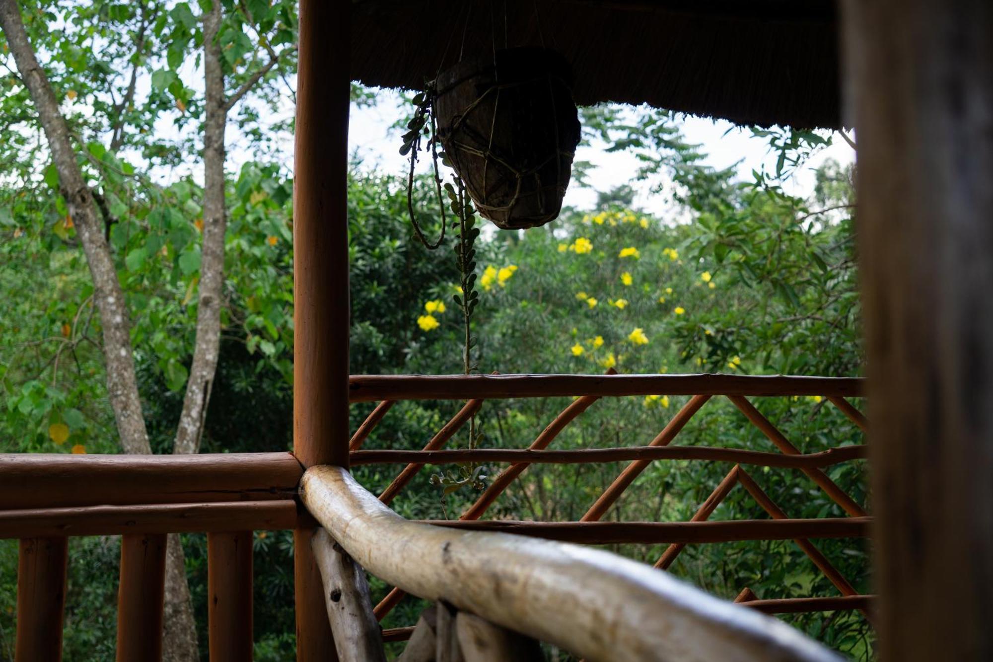 Dave The Cave Eco Lodge And Cultural Campsite Rubirizi エクステリア 写真
