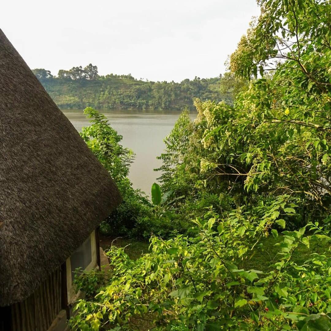 Dave The Cave Eco Lodge And Cultural Campsite Rubirizi エクステリア 写真