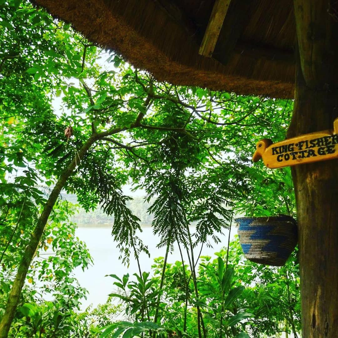 Dave The Cave Eco Lodge And Cultural Campsite Rubirizi エクステリア 写真